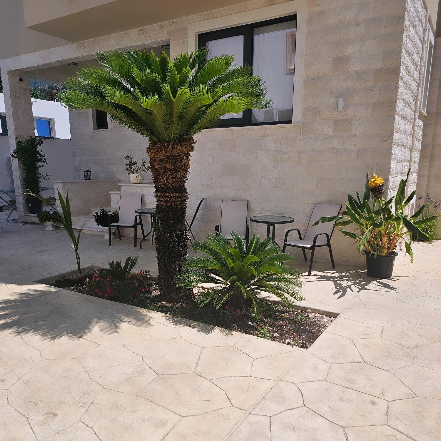 La Vida Apartments Budva Exteriör bild